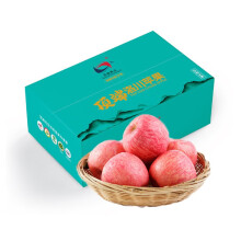 顶端果业陕西红富士洛川苹果水果6个大果礼盒生鲜新鲜水果 6枚试吃礼盒装