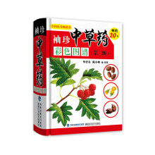 书籍图片