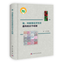 书籍图片