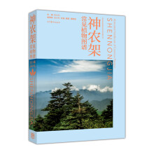 书籍图片