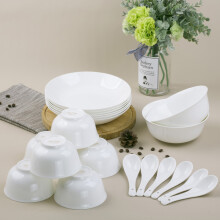 SKYTOP斯凯绨 碗盘碟套装陶瓷餐具骨瓷纯白20头实用装6人份