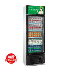 奥华立D06L2立式冷藏柜立式商用冰箱冷柜冷藏