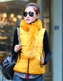 水瑶寒香 <em>女士</em> 2013秋冬装新款<em>羽绒</em>棉<em>马甲</em> 韩版