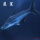 蓝鲨14-15cm1条