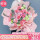 11朵粉色康乃馨百合束—经典款