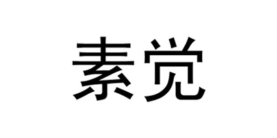 素覺(jué) 耳飾
