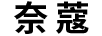 奈蔻 連衣裙