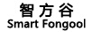 智方谷（SMART FONGOOL） 智能手表