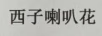 西子喇叭花 音箱/音響