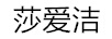 莎愛潔 垃圾桶