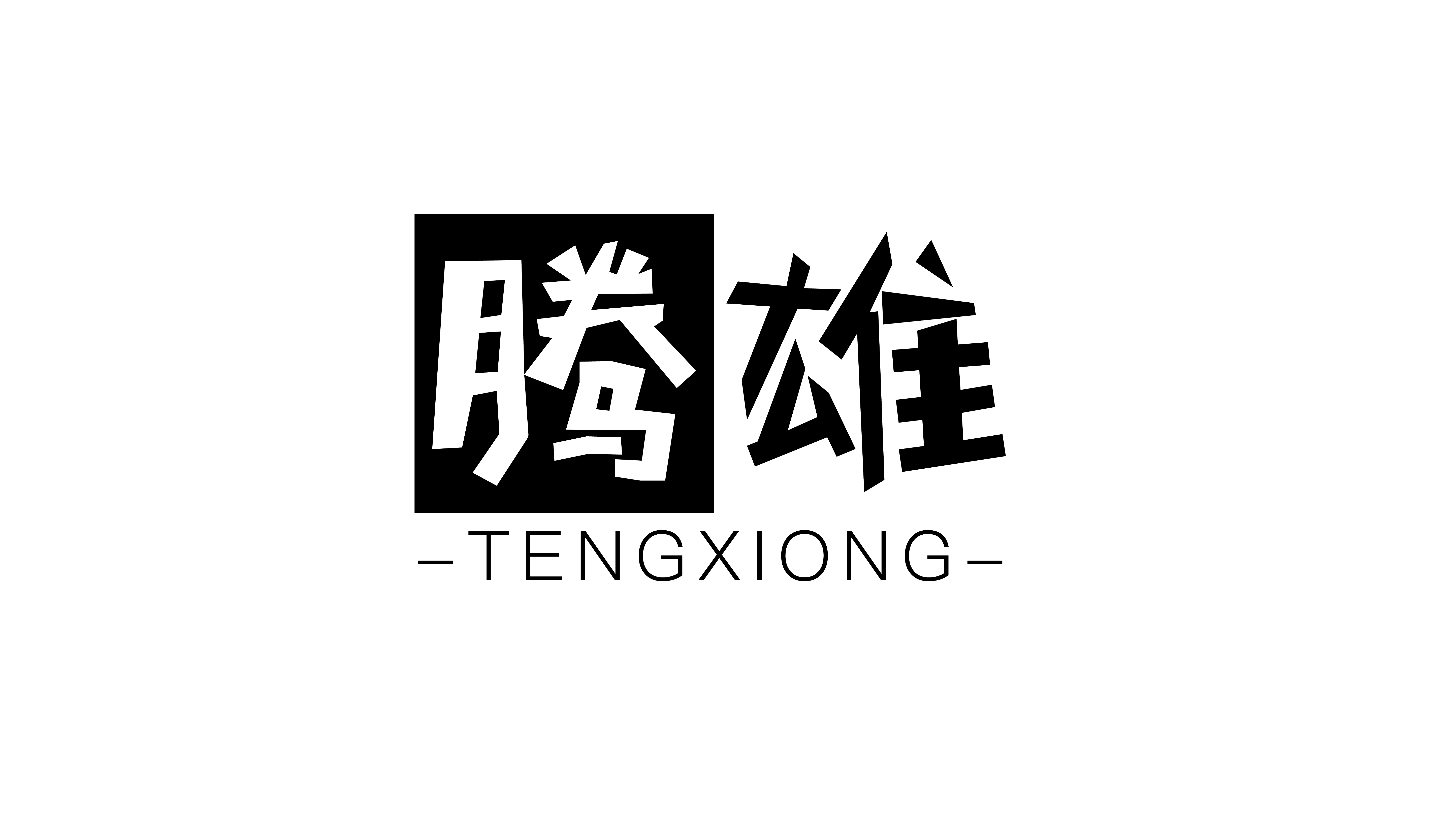 腾雄（TENGXIONG） 本册/便签