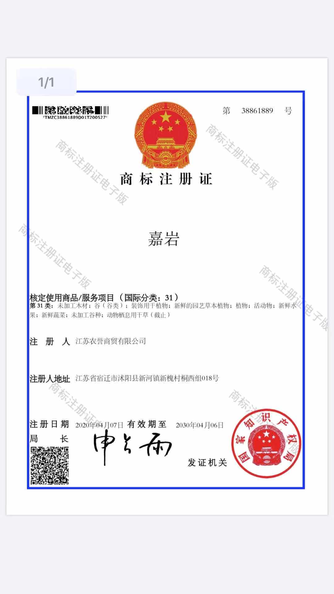 嘉巖 苗木