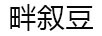 畔敘豆 陶瓷/馬克杯