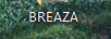 BREAZA 卡通周边