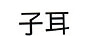 子耳 女士T恤