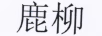 鹿柳 黃金素鏈