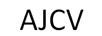 AJCV 跑步鞋