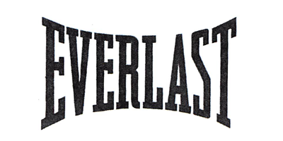 EVERLAST 电池/充电器