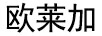 歐萊加 口紅