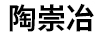 陶崇冶 鼠標(biāo)墊/腕墊