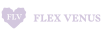 FLV 耳飾