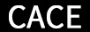 CACE 口紅