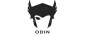 ODIN 游戲機