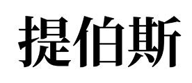 提伯斯 銀耳飾