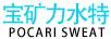 宝矿力水特（POCARI SWEAT） 饮料