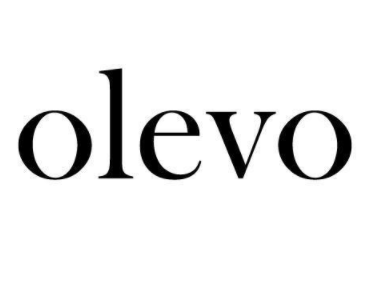 olevo 智能家居