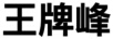 王牌峰 平板電視