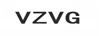 VZVG 女士T恤