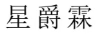 星爵霖 女士T恤