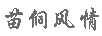 苗侗風(fēng)情 銀耳飾