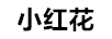 小紅花 套裝/禮盒