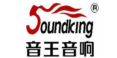 音王（Soundking） 音箱/音響