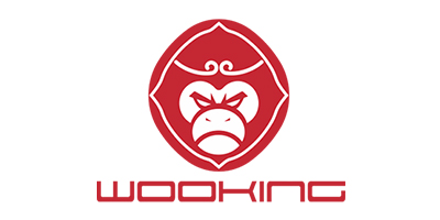 WOOKING 笔记本