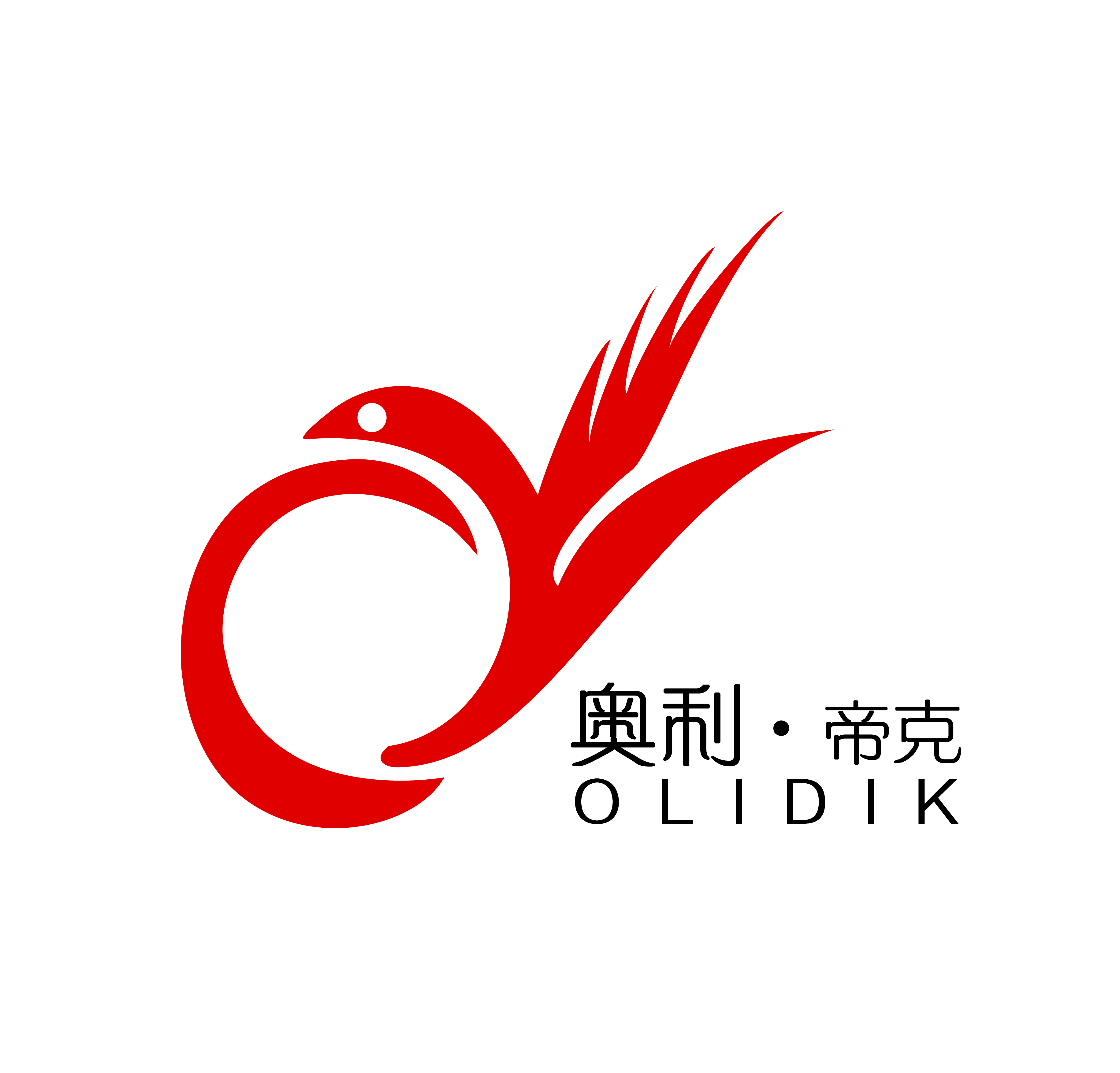 奥利·帝克（OLIDIK） 书包