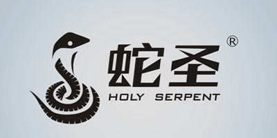 蛇圣（Holy serpent） 蓝牙/无线耳机