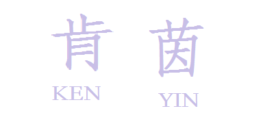 肯茵（KENYIN） 男士休閑鞋