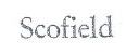 Scofield 連衣裙