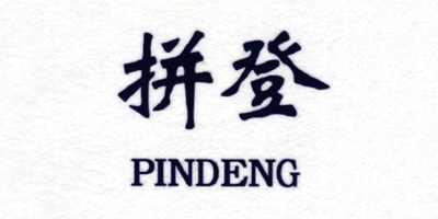拼登（PINDENG） 男士休閑鞋