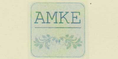 AMKE 藍(lán)牙/無線耳機(jī)