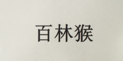 百林猴 女士外穿拖鞋