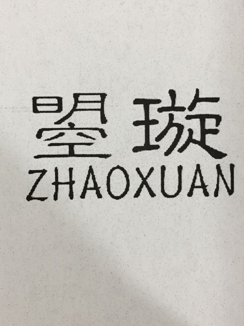 曌璇（zhaoxuan） 发夹