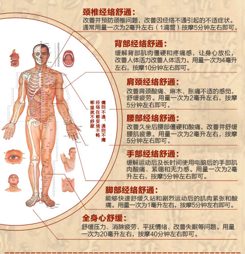 爱诺玛亚经络刮痧精油100ml 肩颈按摩油舒通经络缓解肌肉酸痛 身体