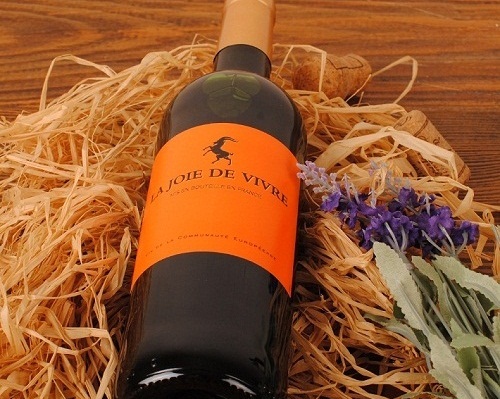 法国原瓶原装进口红酒 上市公司出品 维纶纽夫