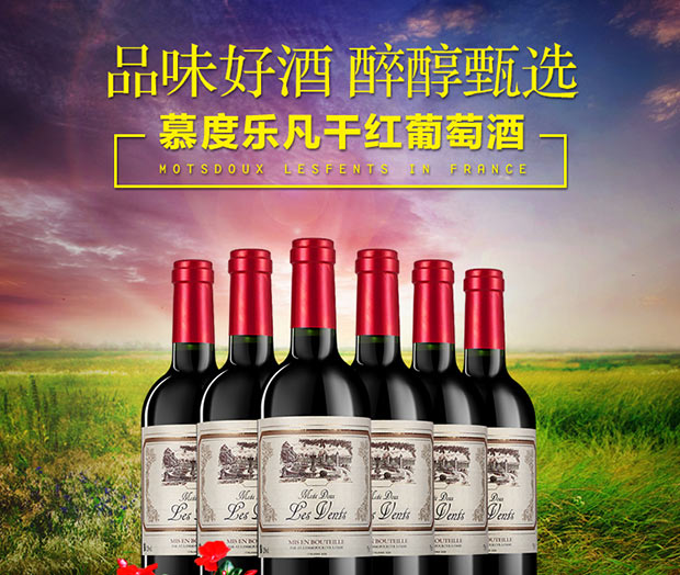法国进口红酒慕度乐凡干红葡萄酒六支装750m