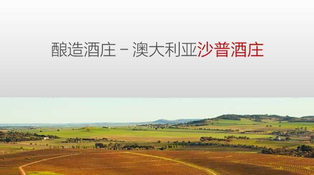 澳大利亚原瓶进口1888 干红葡萄酒 澳洲品牌沙
