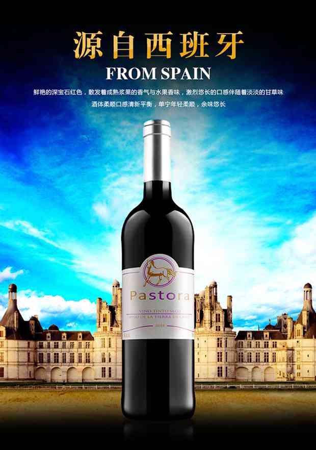 帕图拉 干红葡萄酒 西班牙原瓶进口红酒 佐餐酒
